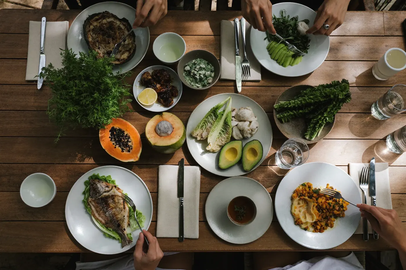 Nutrition + Q&A — Nutrition & integration, longevity program in Bali